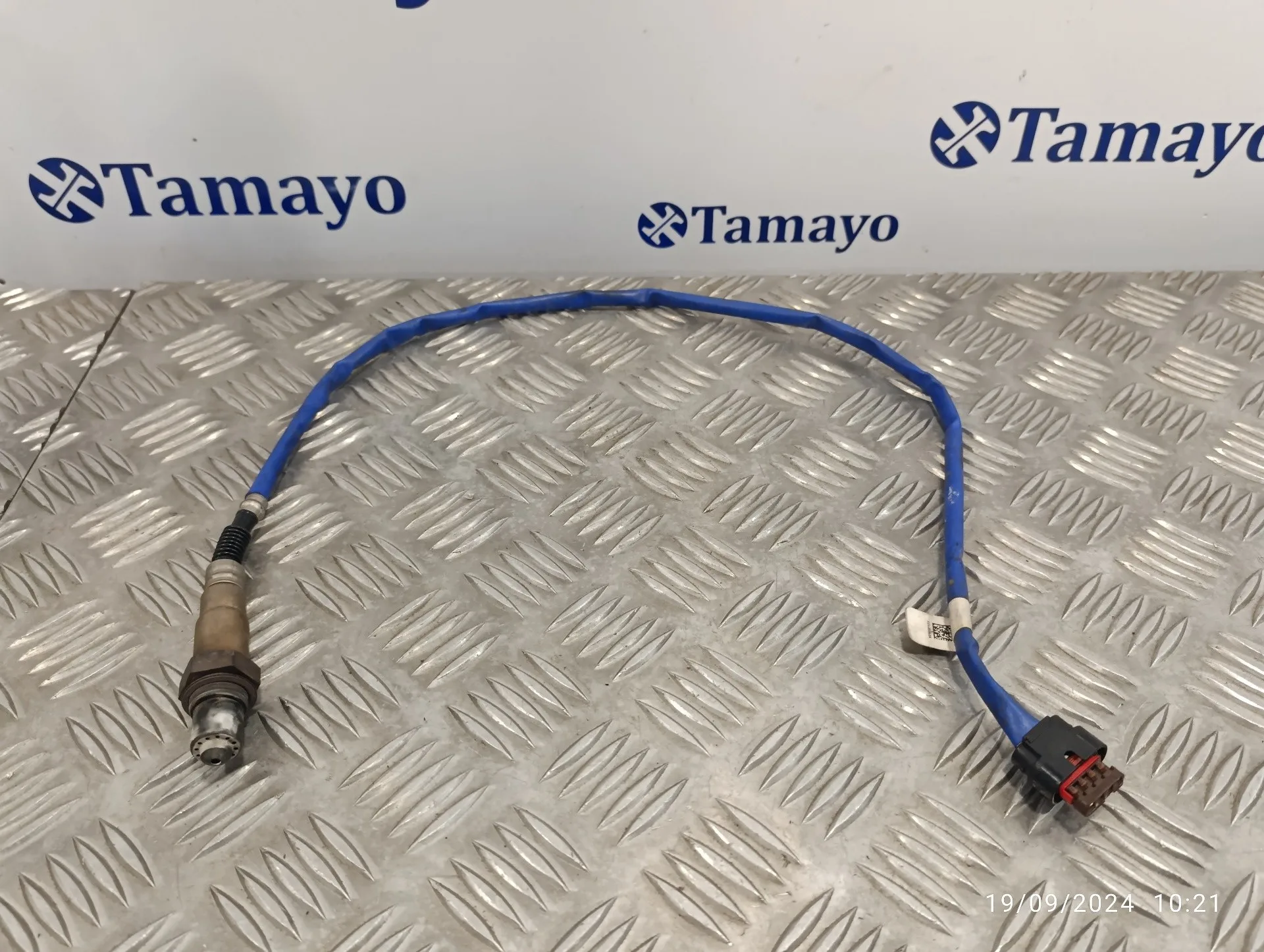 Sonda Lambda para Ford Focus Lim.