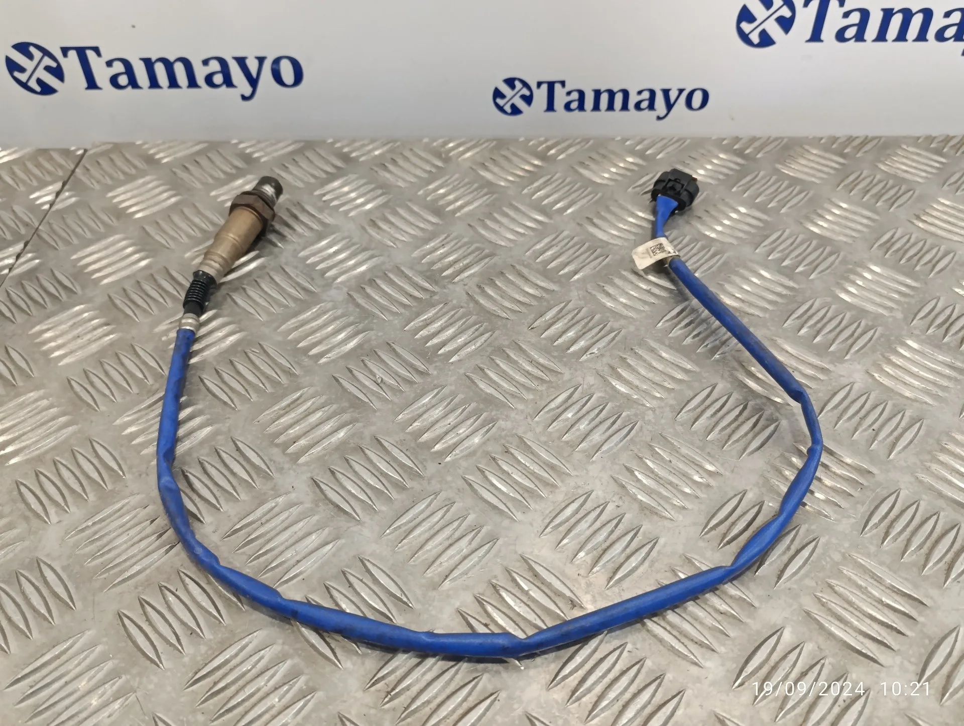 Sonda Lambda para Ford Focus Lim.