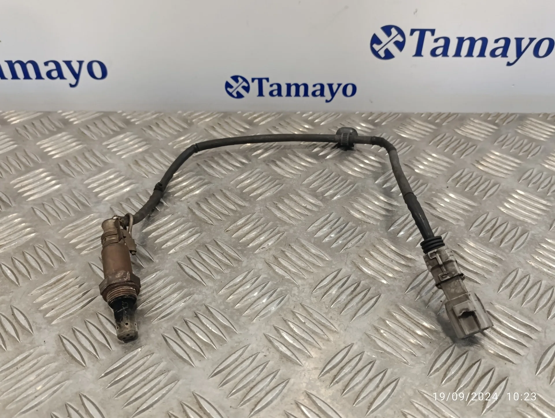 Sonda Lambda para Toyota Prius (Nhw30)