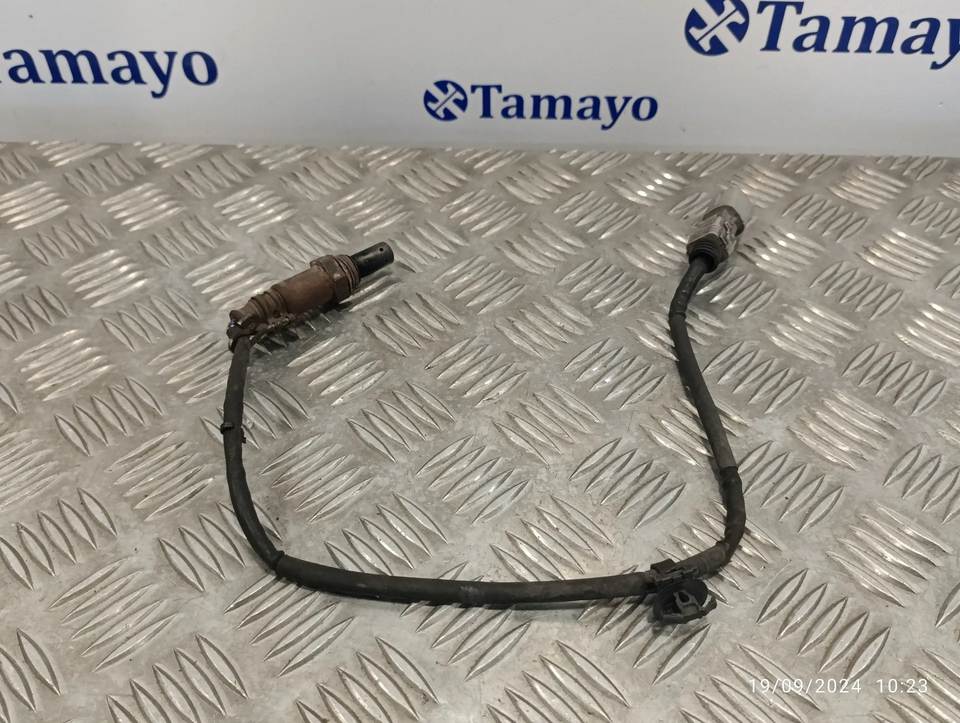Sonda Lambda para Toyota Prius (Nhw30)