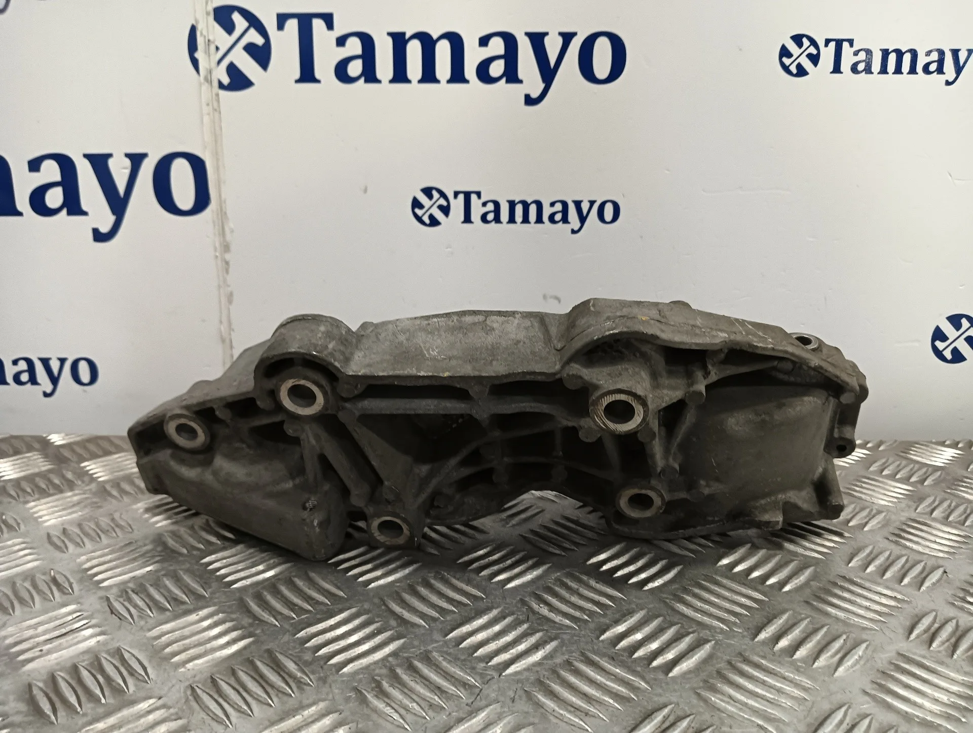 Soporte Alternador para Renault Trafic Combi (Ab 4.01)