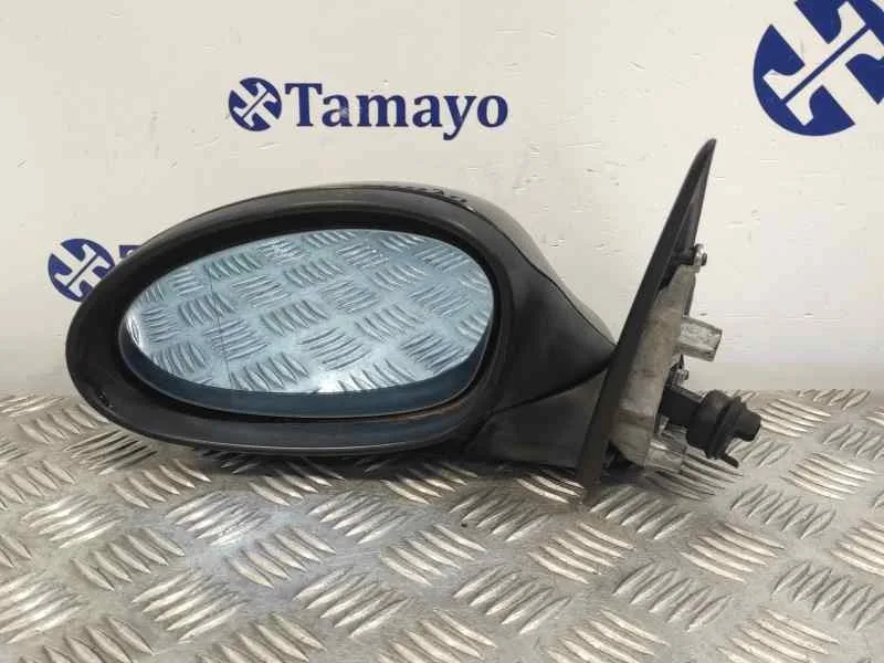 Retrovisor Izquierdo para Bmw Serie 3 Berlina (E90)