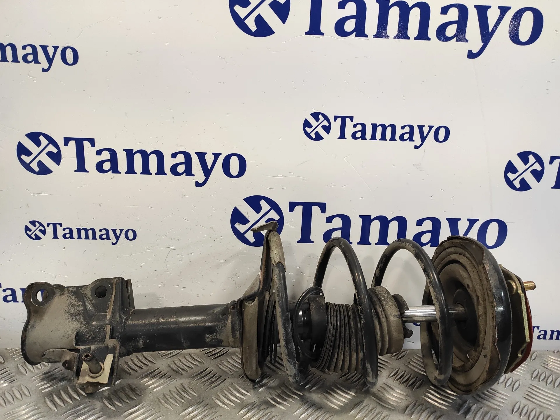 Amortiguador Delantero Derecho para Nissan Almera Tino (V10M)