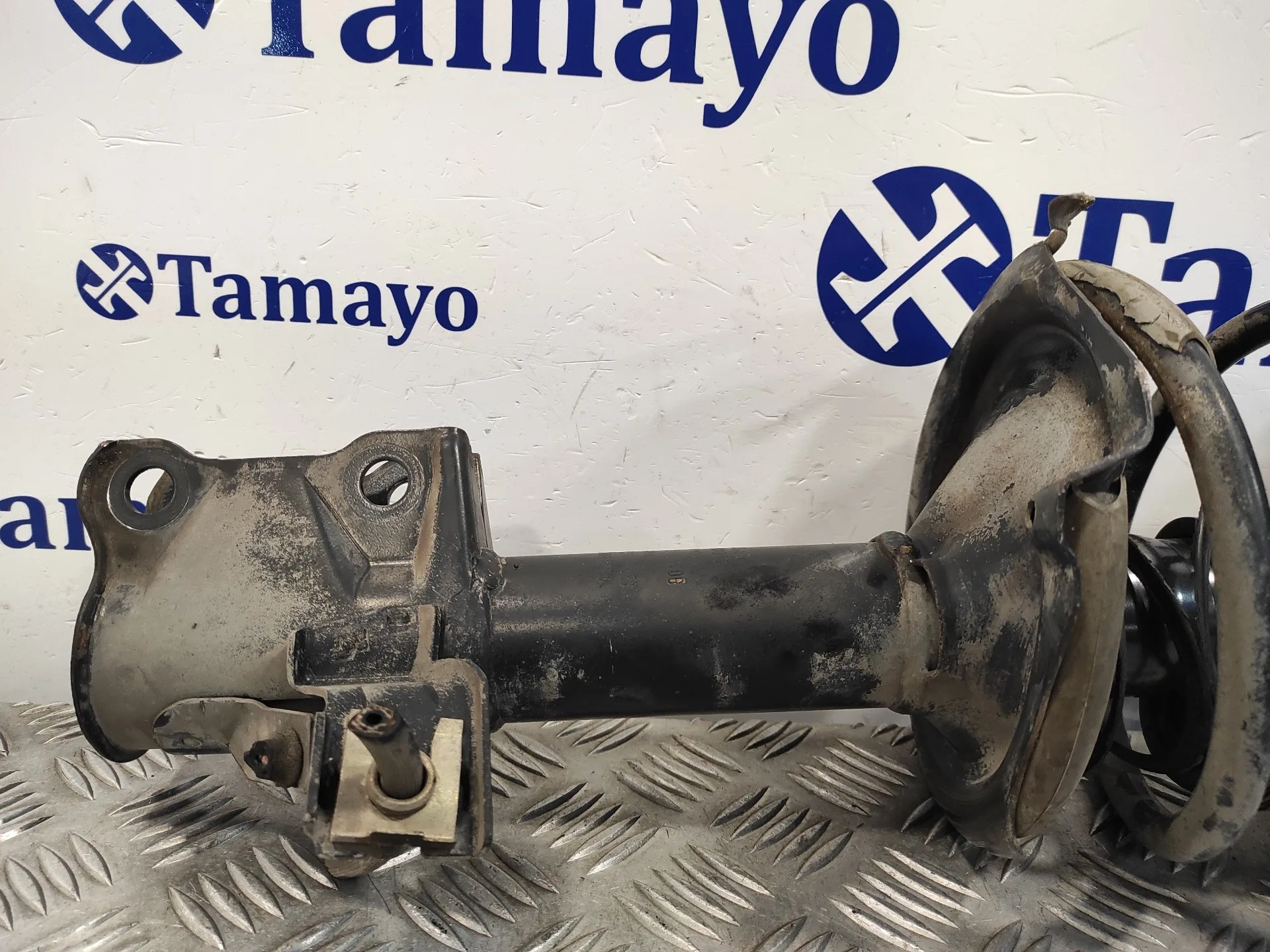 Amortiguador Delantero Derecho para Nissan Almera Tino (V10M)