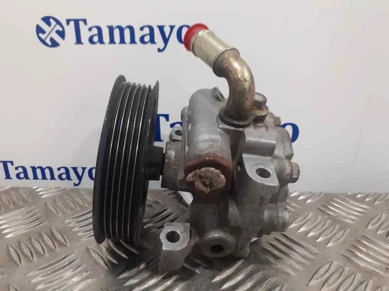 Bomba Direccion para Ford Transit Connect (Tc7)