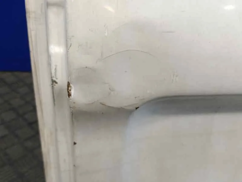 Puerta Trasera Carga Derecha para Renault Trafic Caja Cerrada (Ab 4.01)