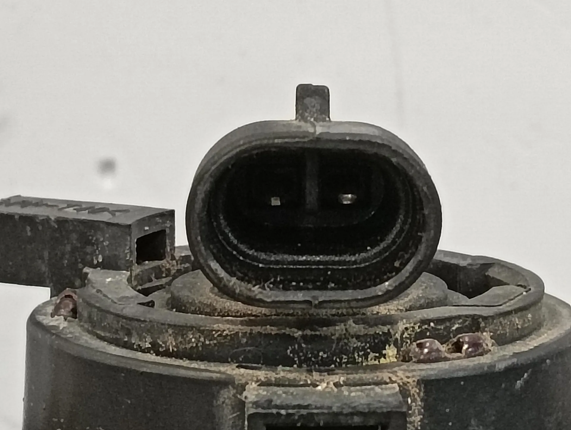 Faro Antiniebla Izquierdo para Jaguar X-Type