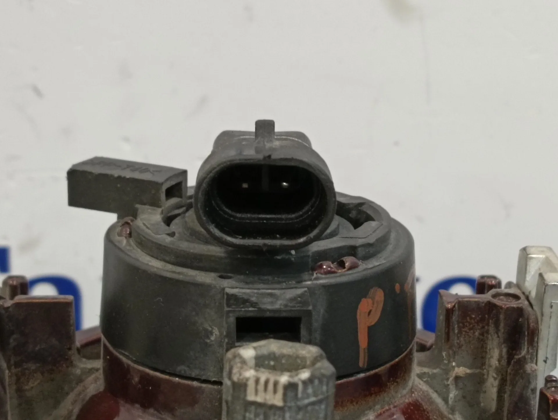 Faro Antiniebla Derecho para Jaguar X-Type