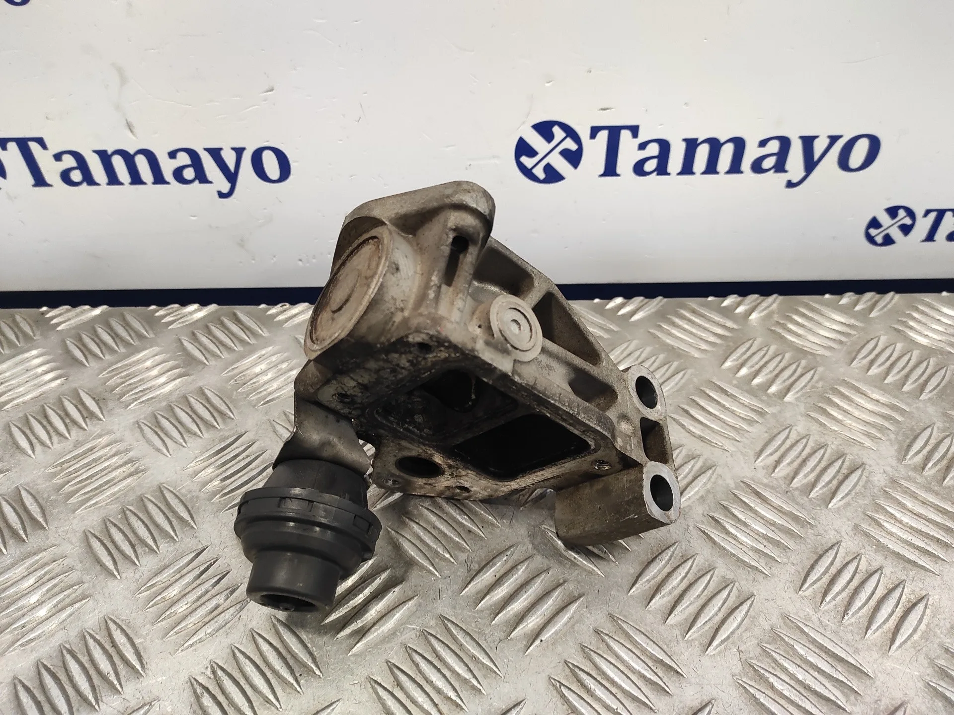 Valvula Egr para Nissan Nt400 Cabstar (01/20214->)