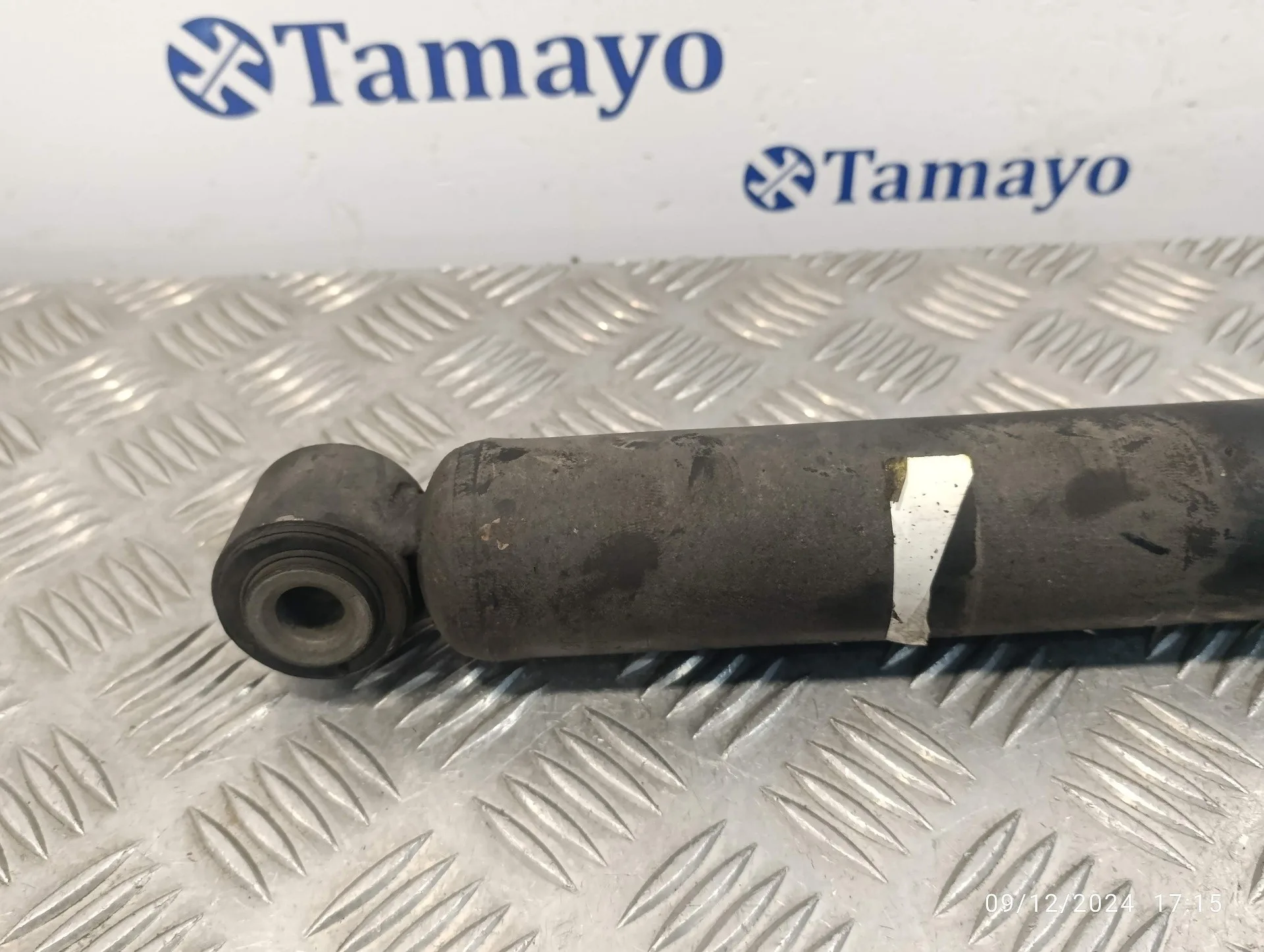 Amortiguador Trasero para Opel Movano B Kasten/Combi