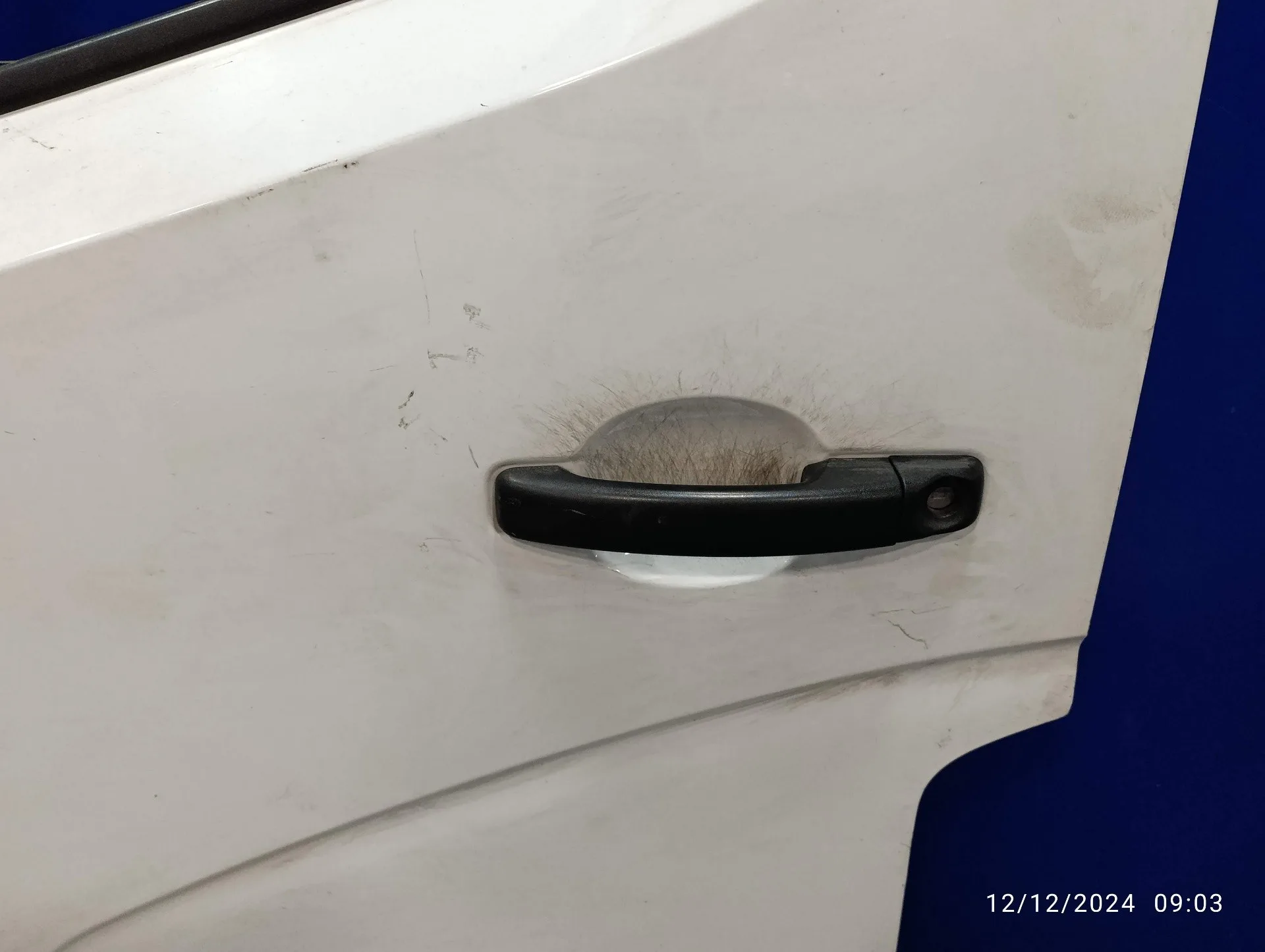 Puerta Delantera Izquierda para Opel Movano B Pritsche/Kipper/Koffer