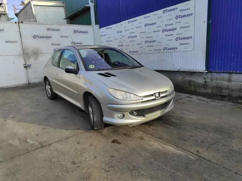 Motor Completo para Peugeot 206 Berlina