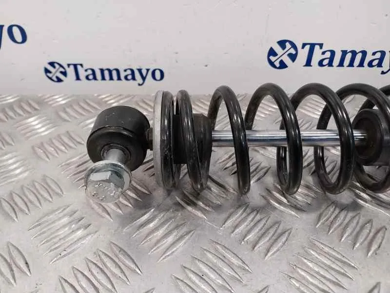 Amortiguador Trasero para Ligier Js60