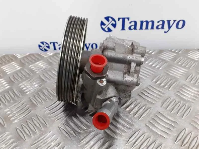 Bomba Direccion para Peugeot 407