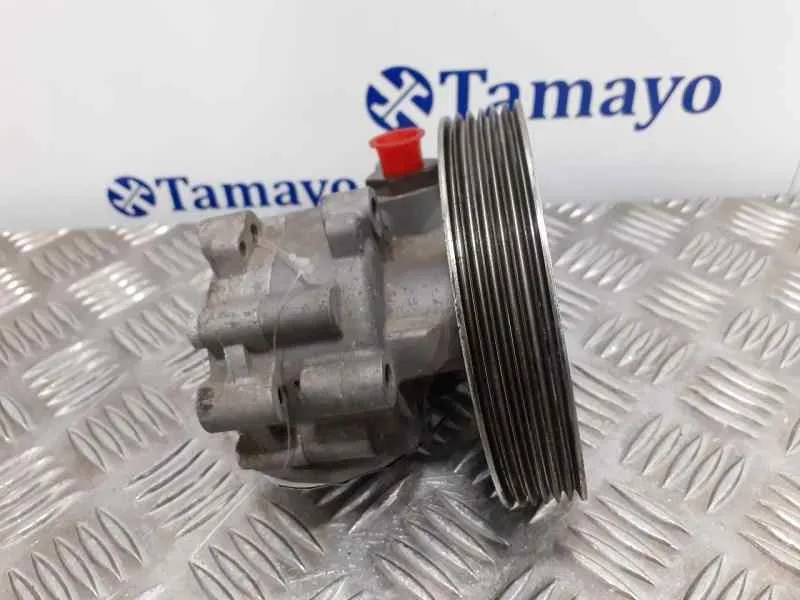 Bomba Direccion para Peugeot 407