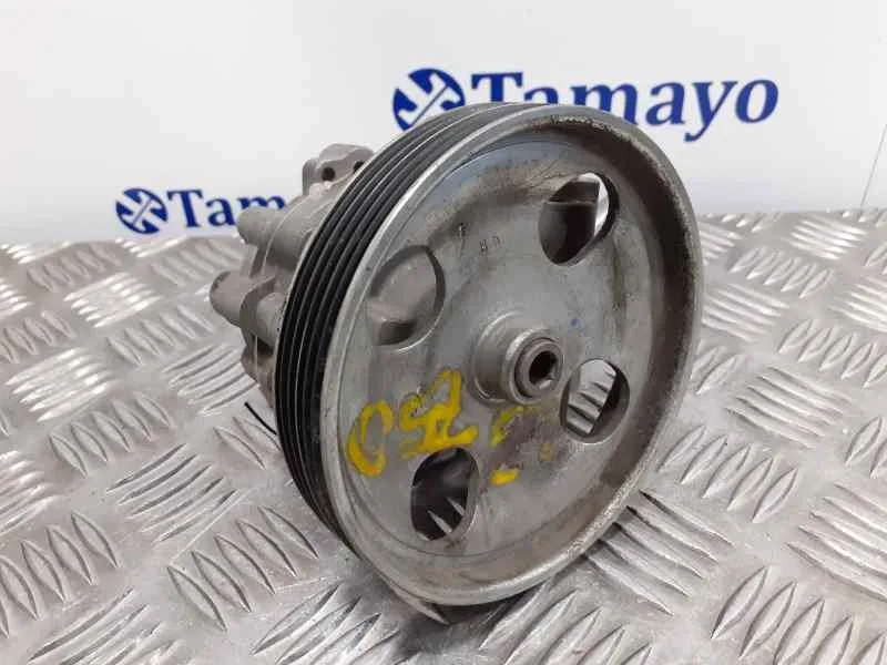 Bomba Direccion para Peugeot 407