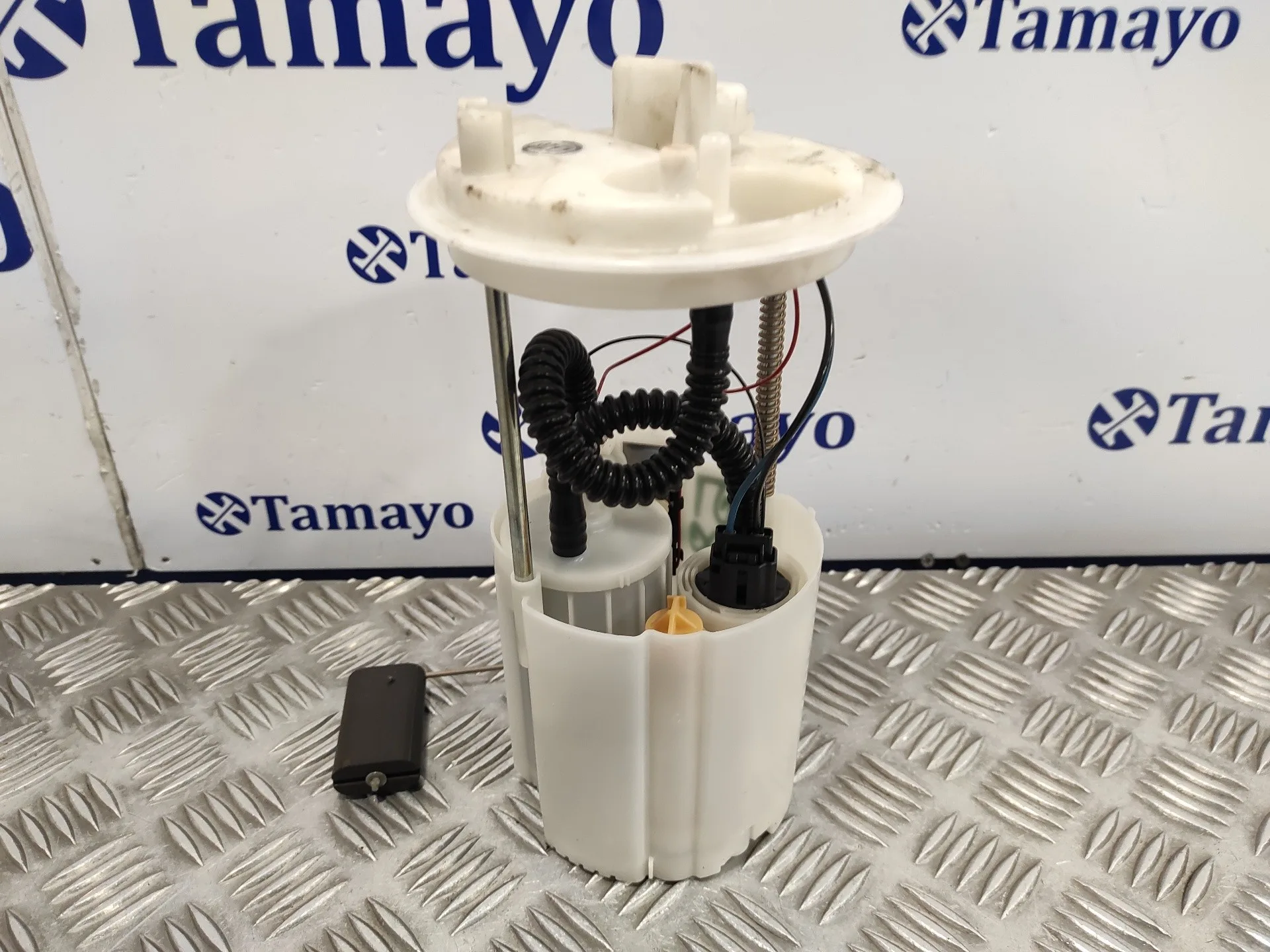 Aforador para Lancia Musa (184)