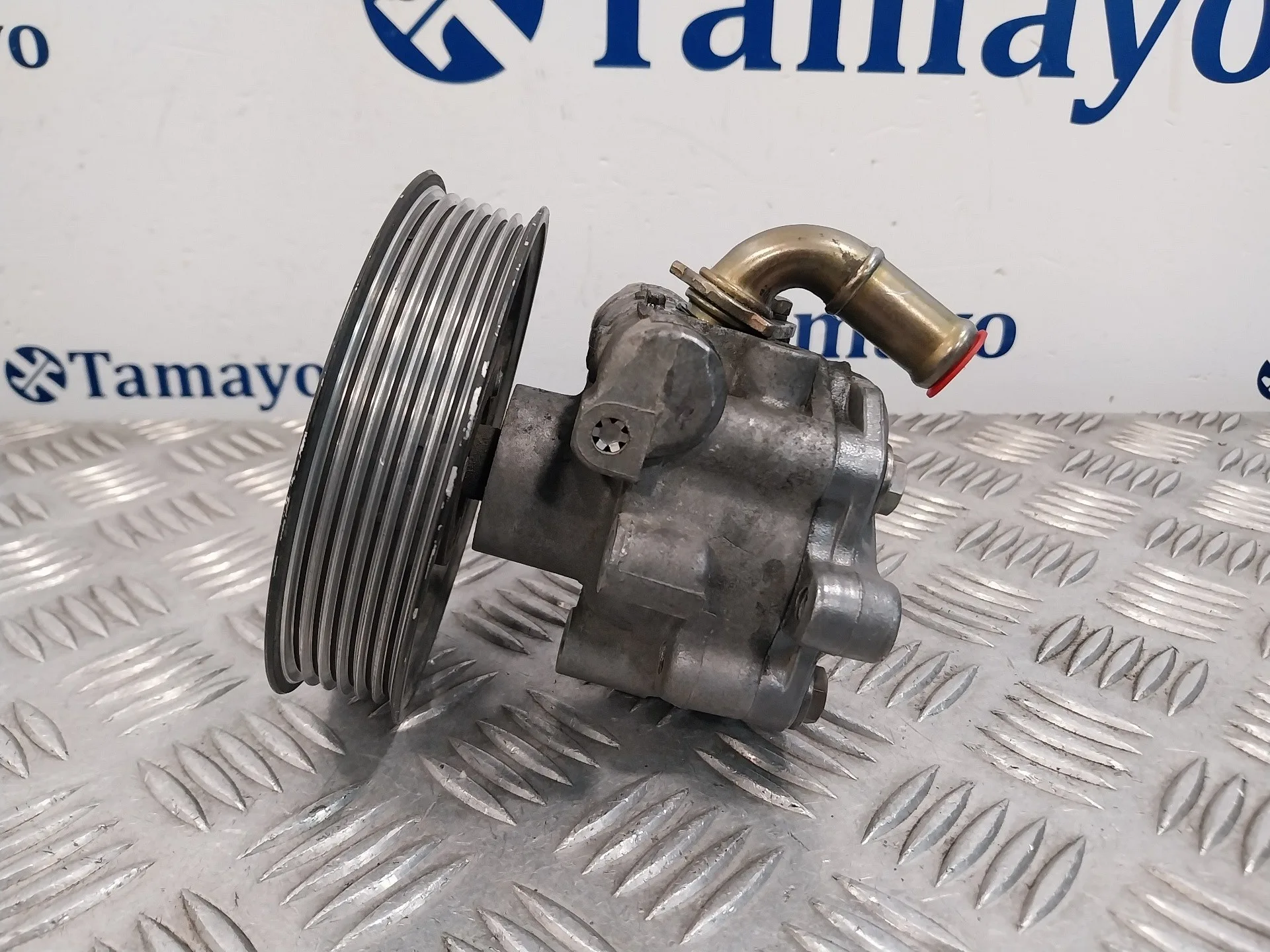 Bomba Servodireccion para Seat Alhambra (7V9)