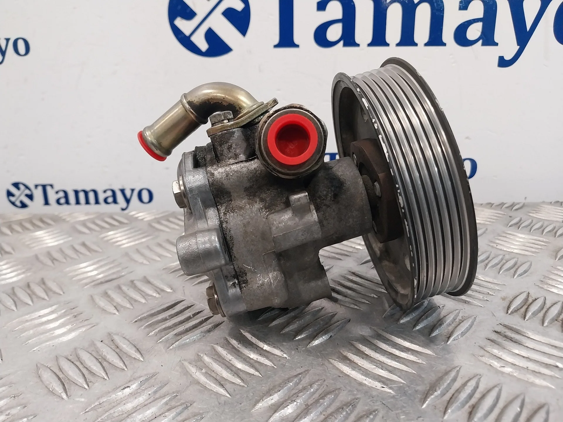 Bomba Servodireccion para Seat Alhambra (7V9)