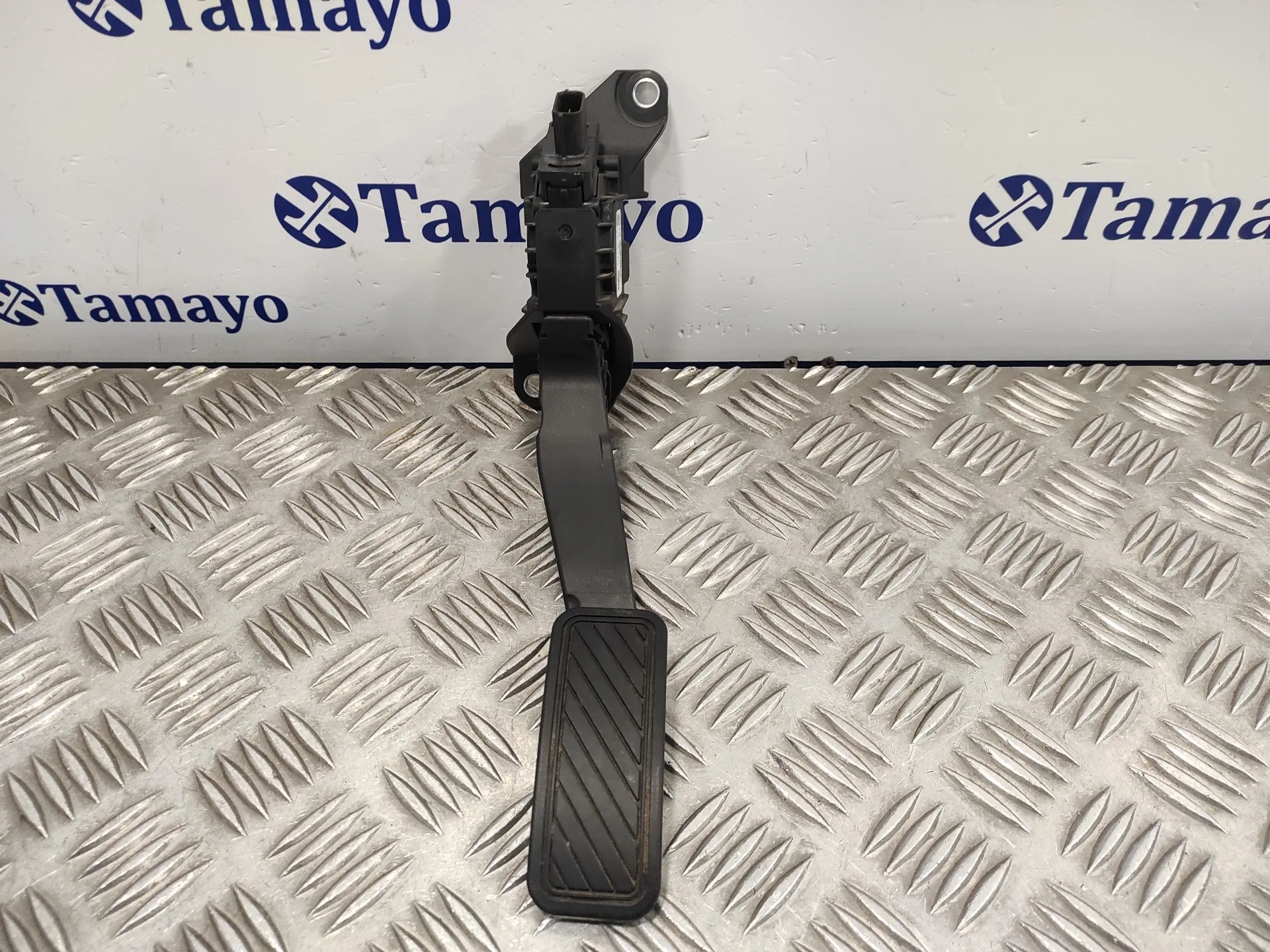 Pedal Acelerador para Ford Fiesta (Ce1)