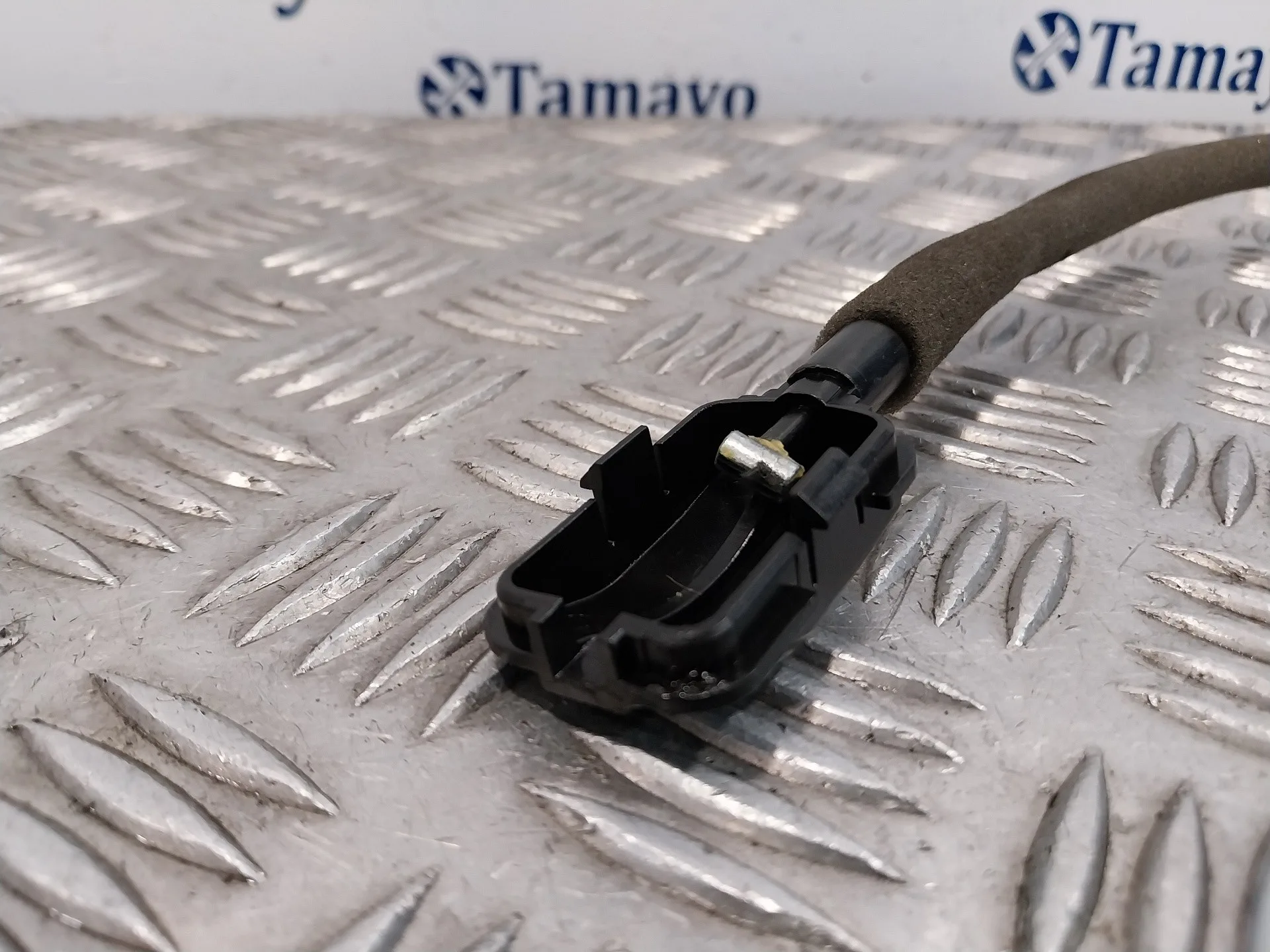 Cerradura Puerta Trasera Derecha para Smart Forfour