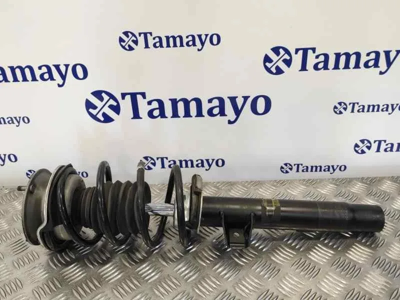 Amortiguador Delantero Derecho para Bmw Serie 3 Berlina (E90)