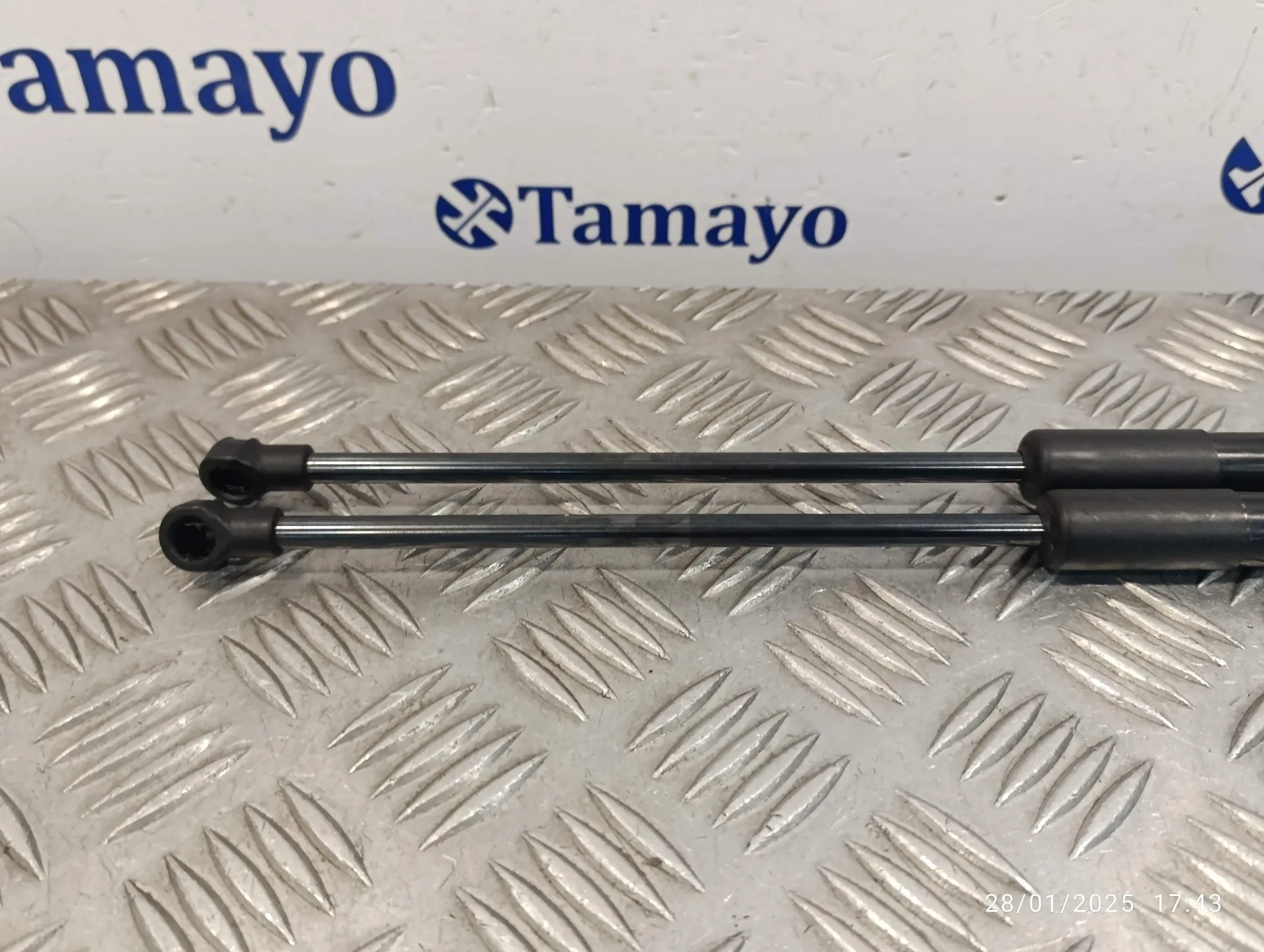 Amortiguadores Maletero / Porton para Smart Forfour
