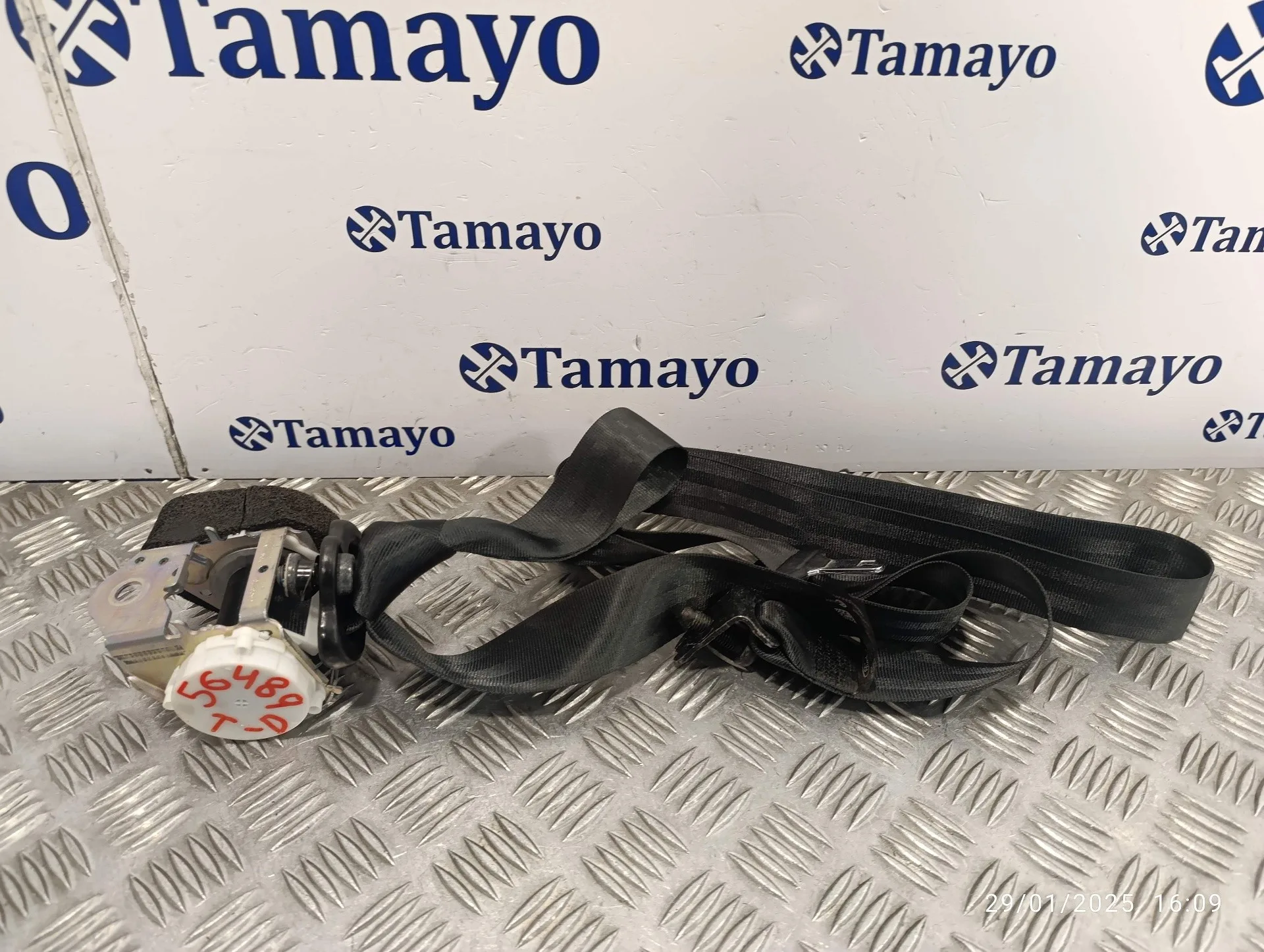 Cinturon Seguridad Trasero Derecho para Ford Fiesta (Ccn)
