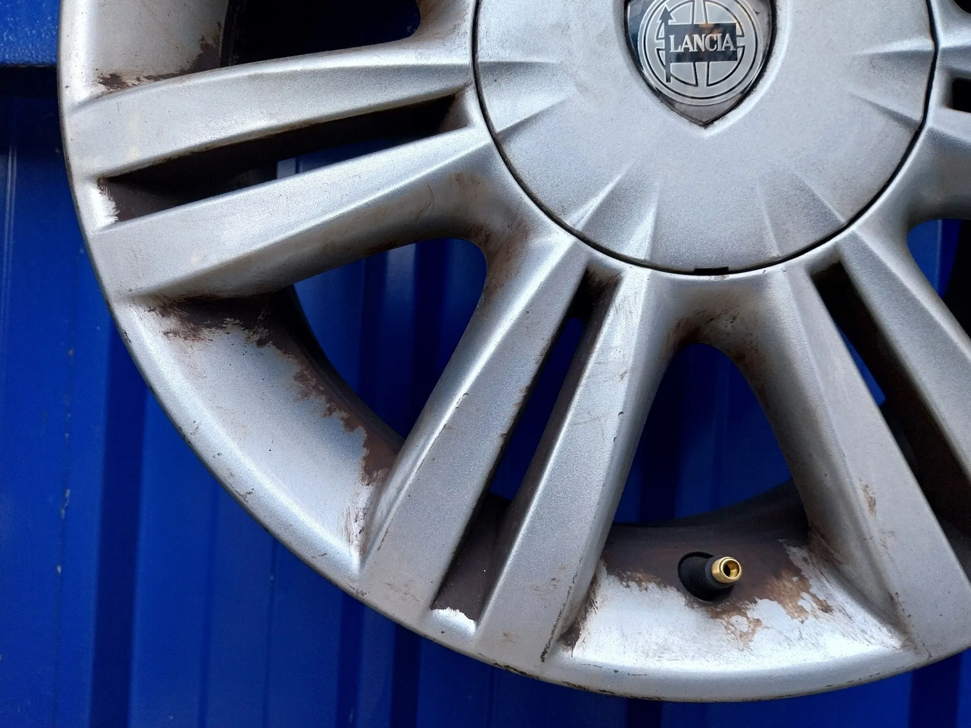 Llanta para Lancia Musa (184)