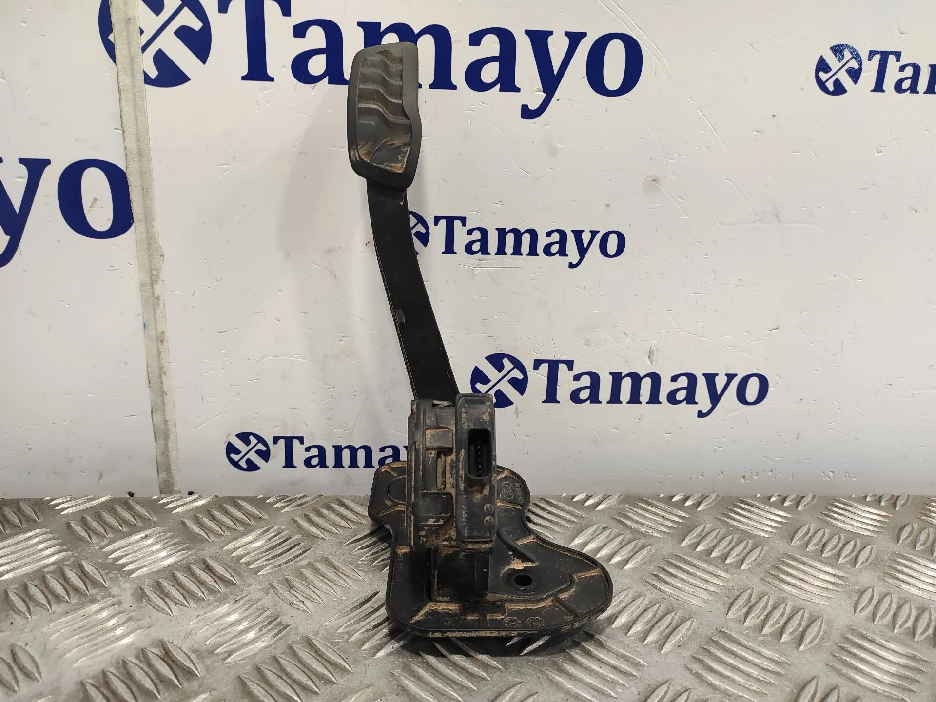 Pedal Acelerador para Ford Transit Kastenwagen (Ttg)
