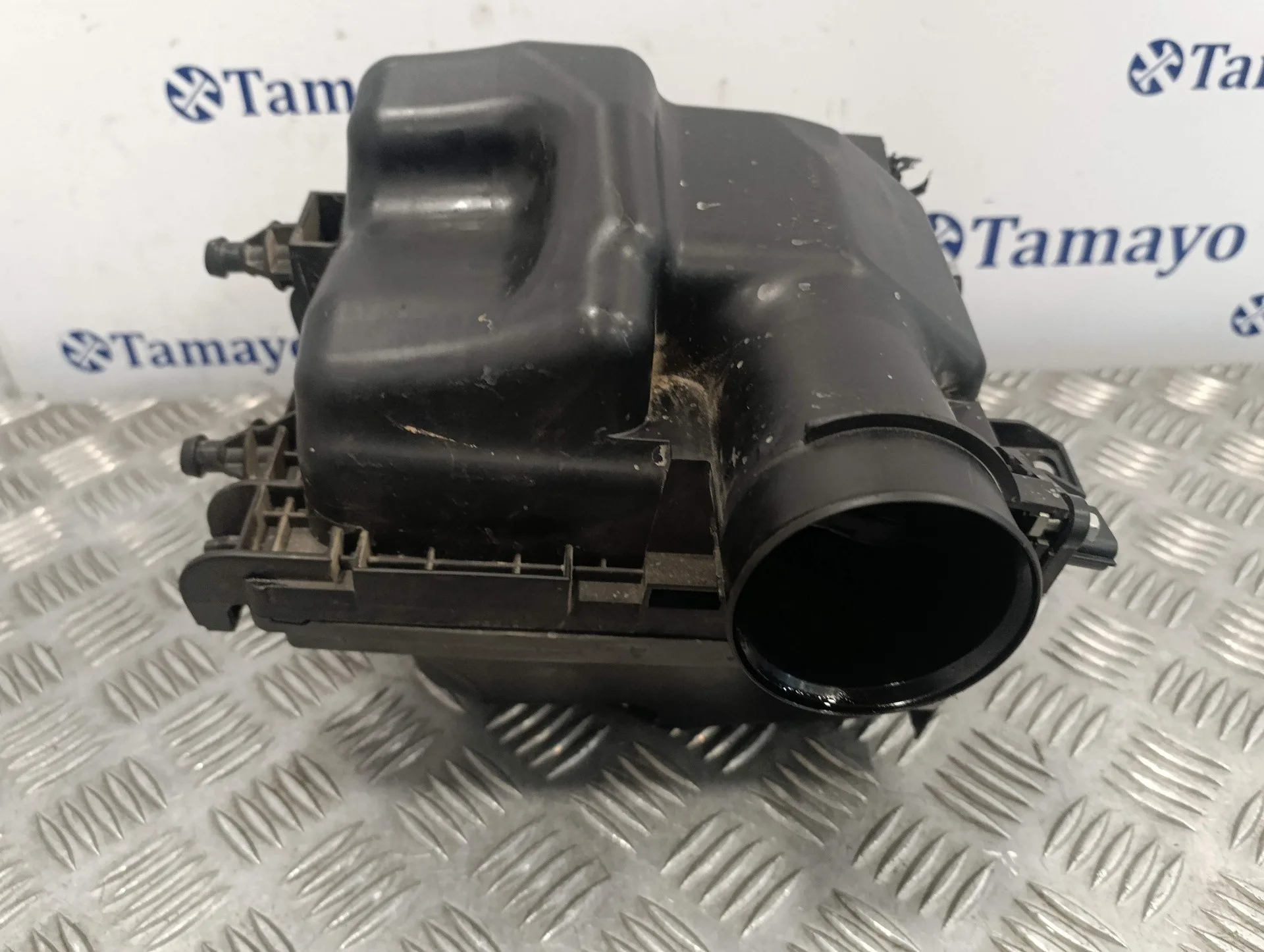 Carcasa Filtro Aire para Nissan Juke (F15)