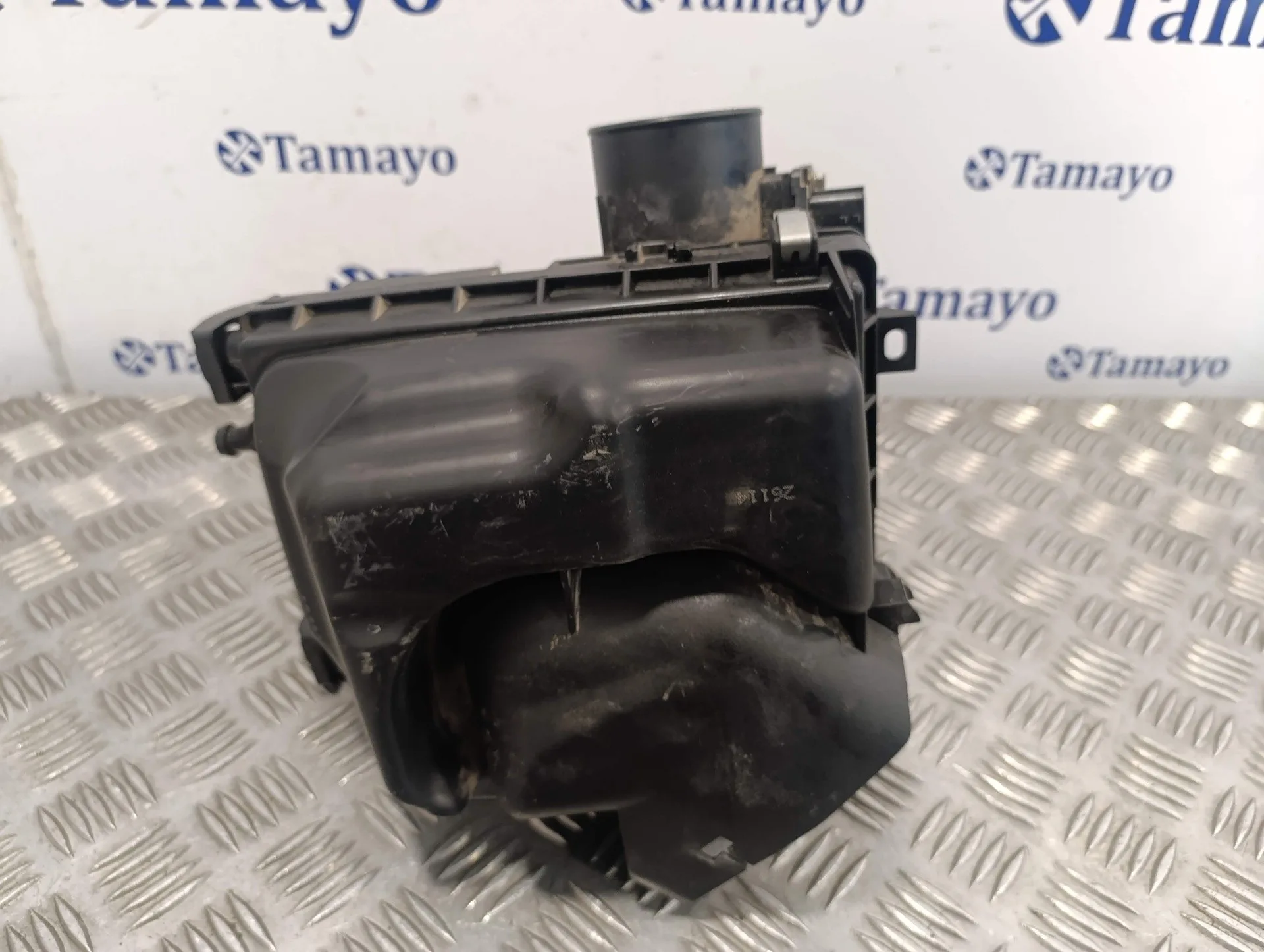 Carcasa Filtro Aire para Nissan Juke (F15)