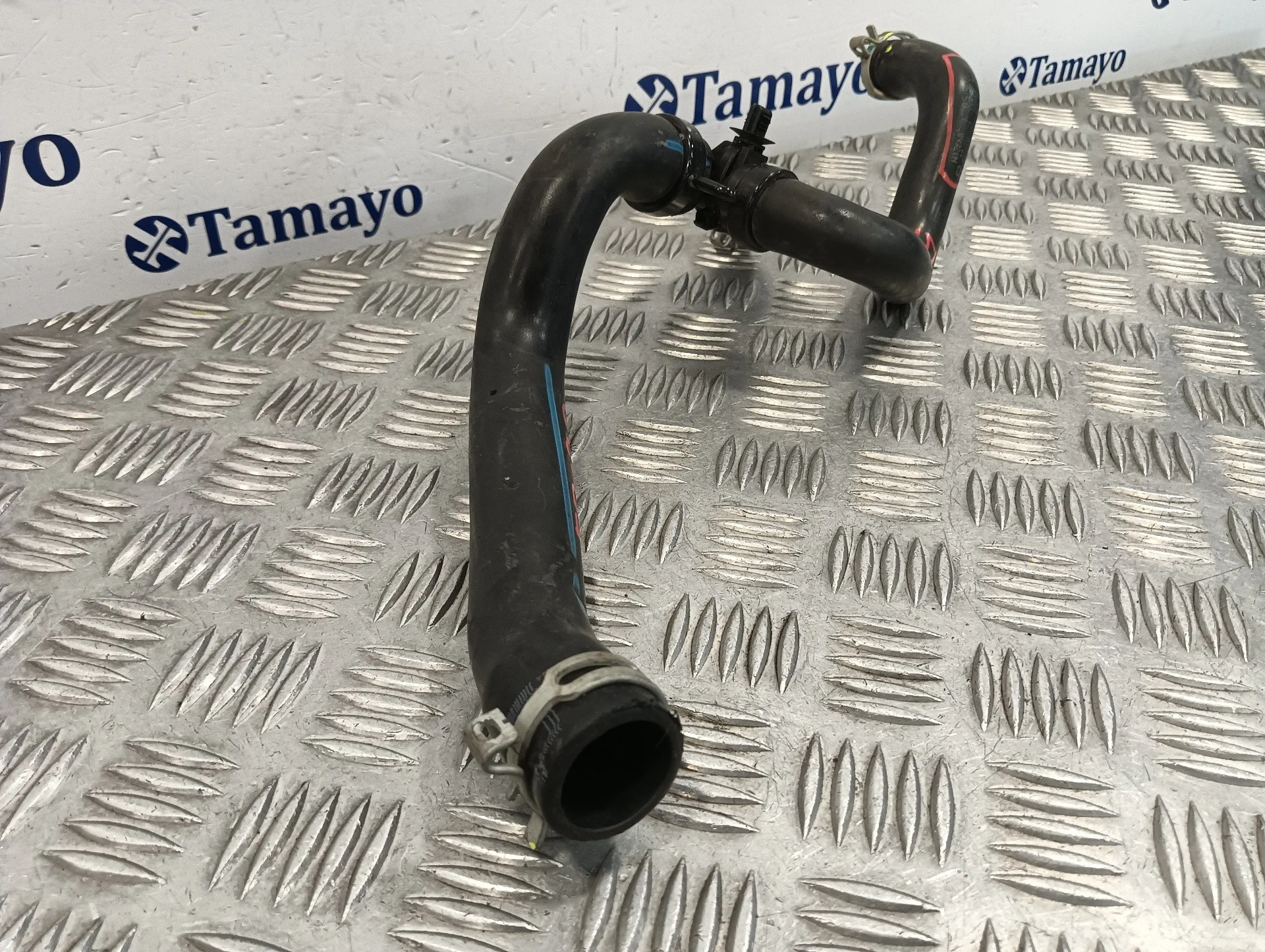 Manguera para Smart Forfour