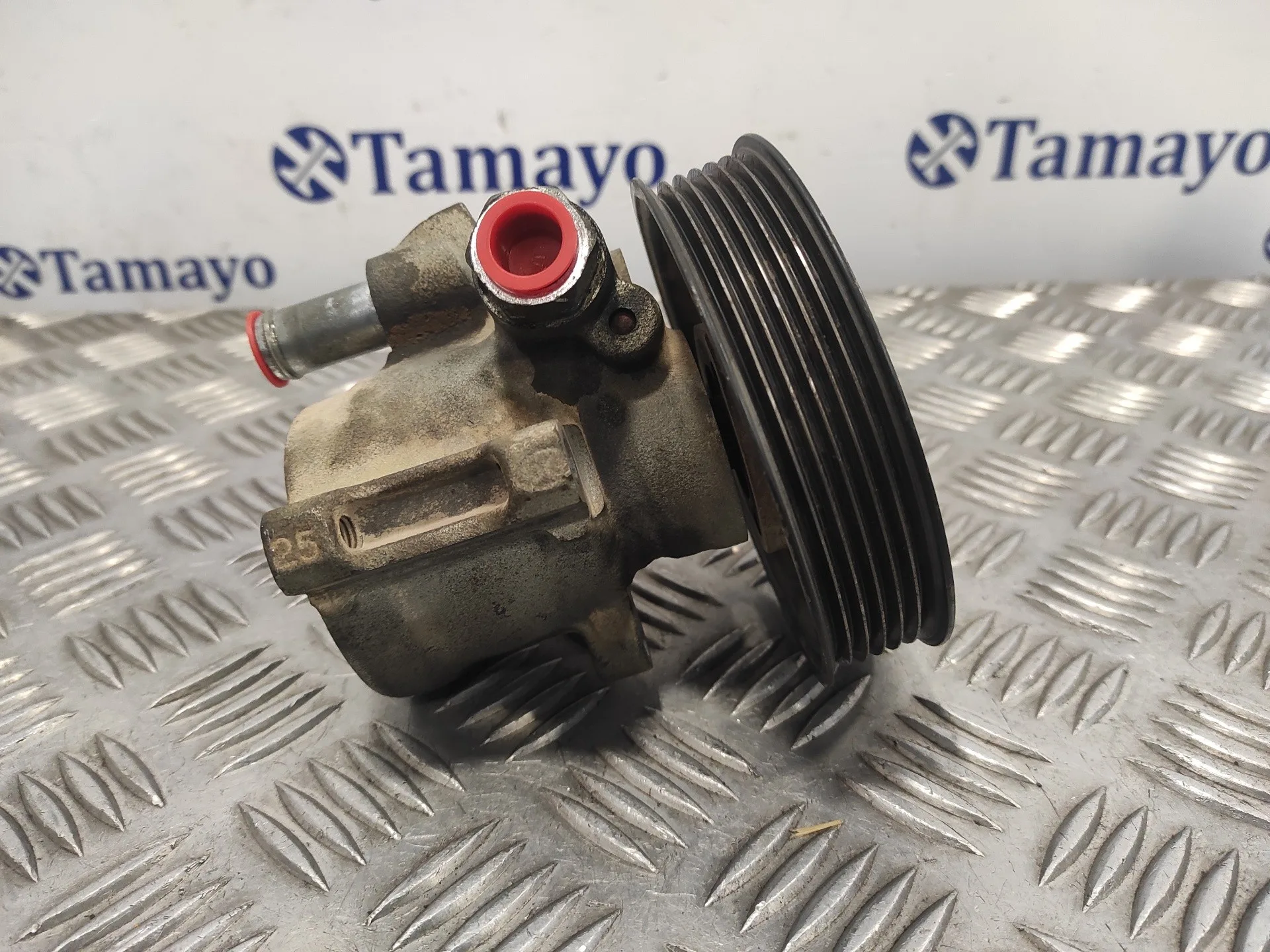 Bomba Direccion para Volkswagen Golf Iv Berlina (1J1)
