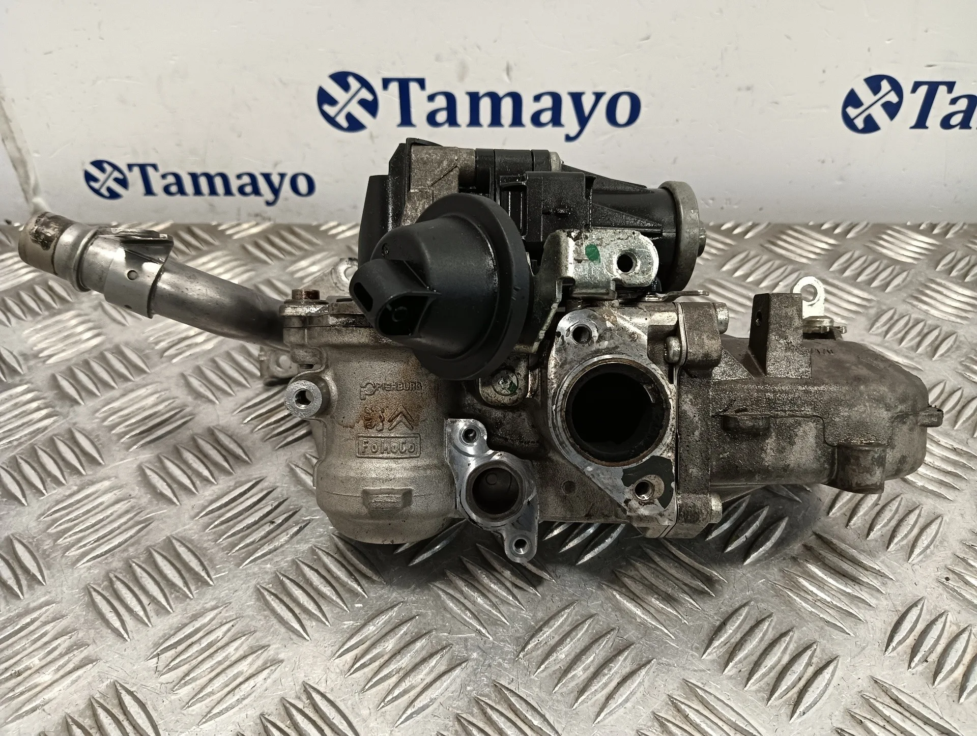 Valvula Egr para Peugeot Expert