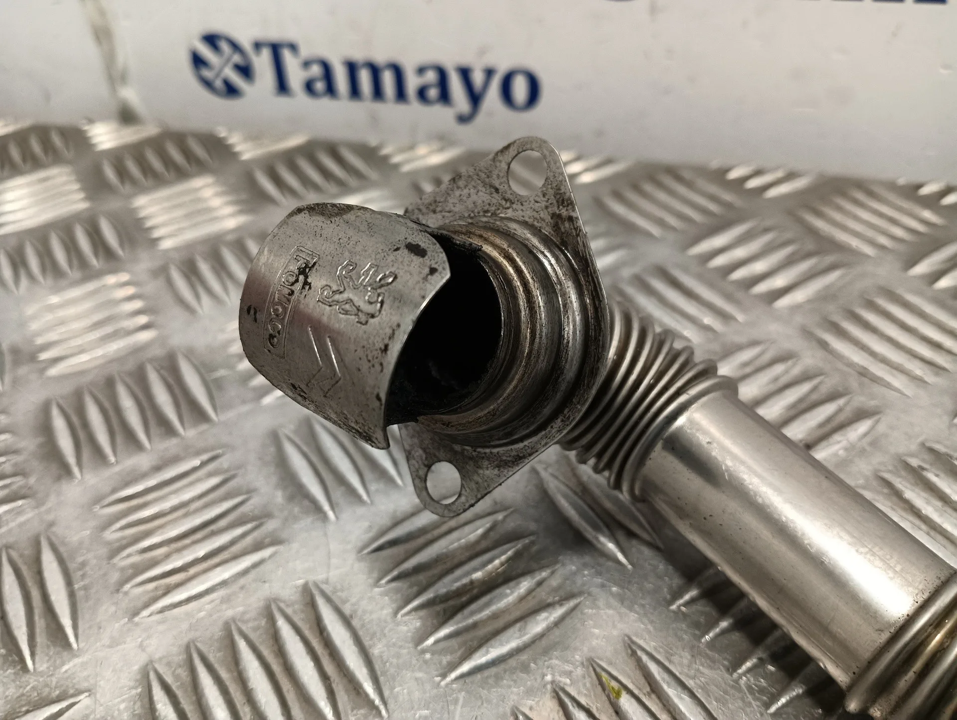 Tubo para Peugeot Expert