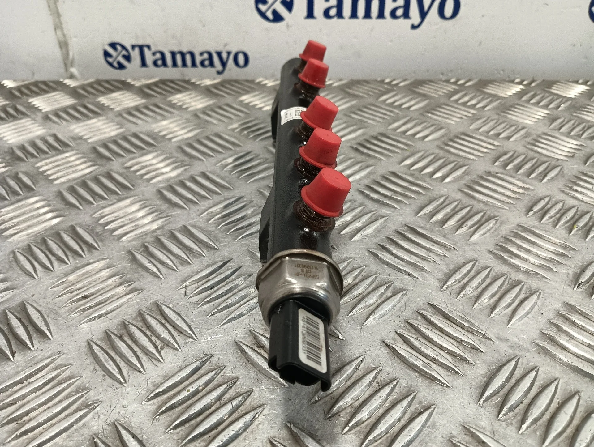 Rampa Inyectora para Peugeot Expert