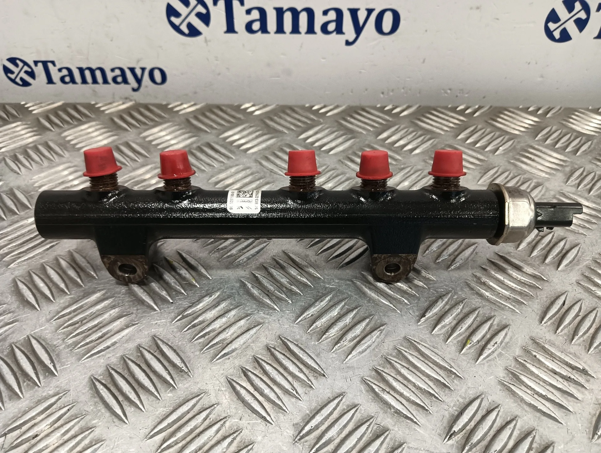 Rampa Inyectora para Peugeot Expert