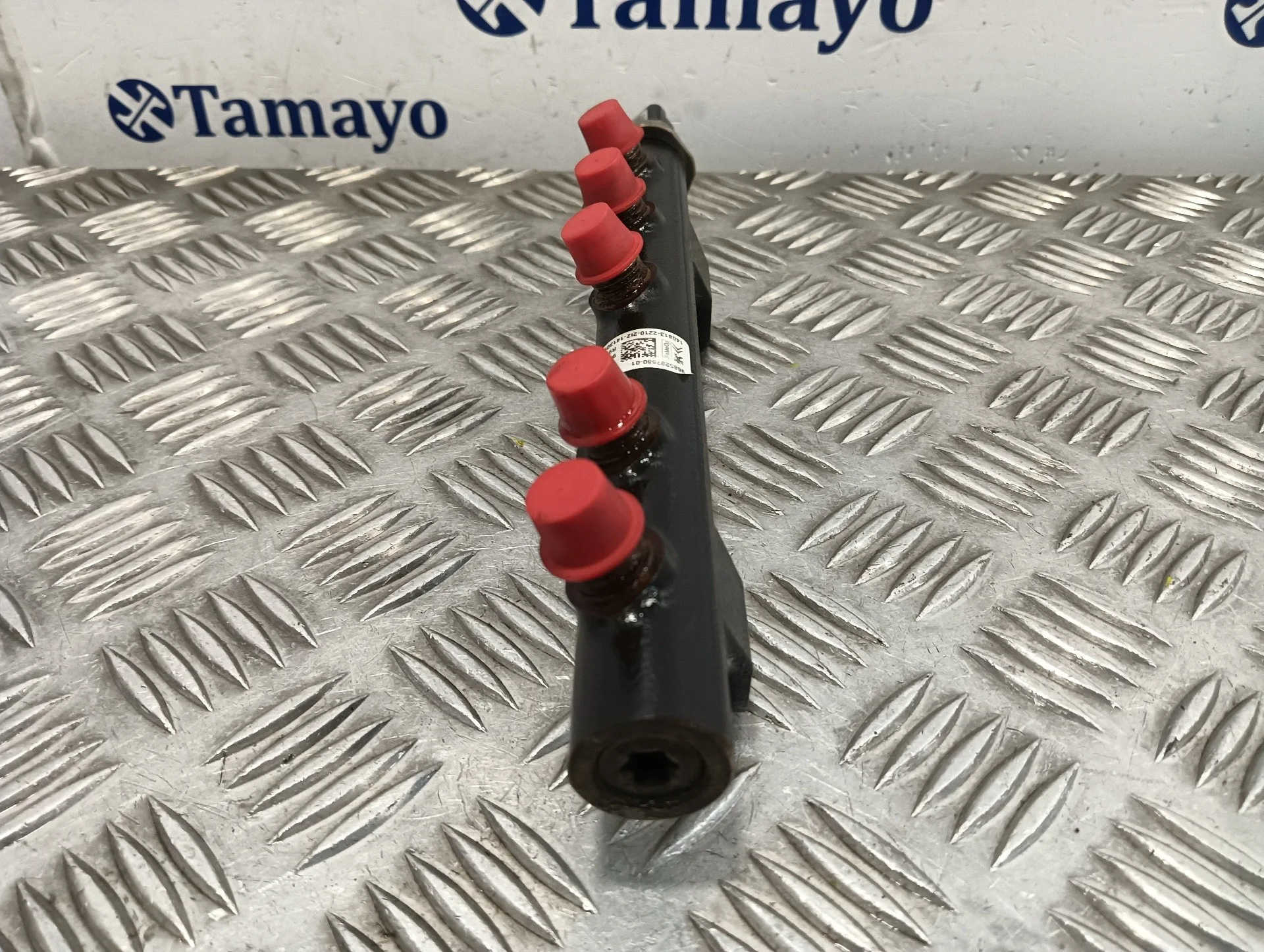 Rampa Inyectora para Peugeot Expert