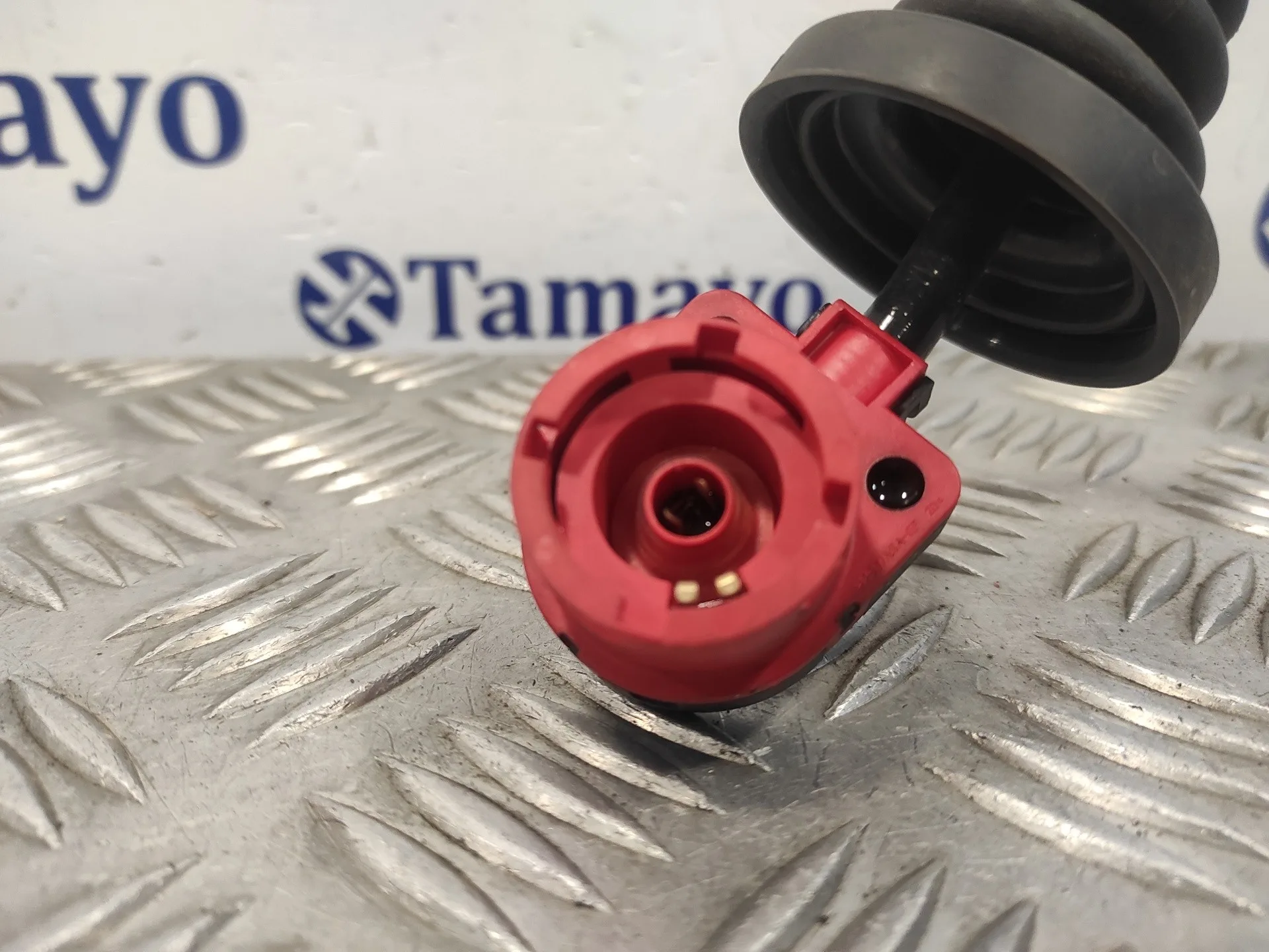 Centralita Faros Xenon para Bmw X5 (E53)