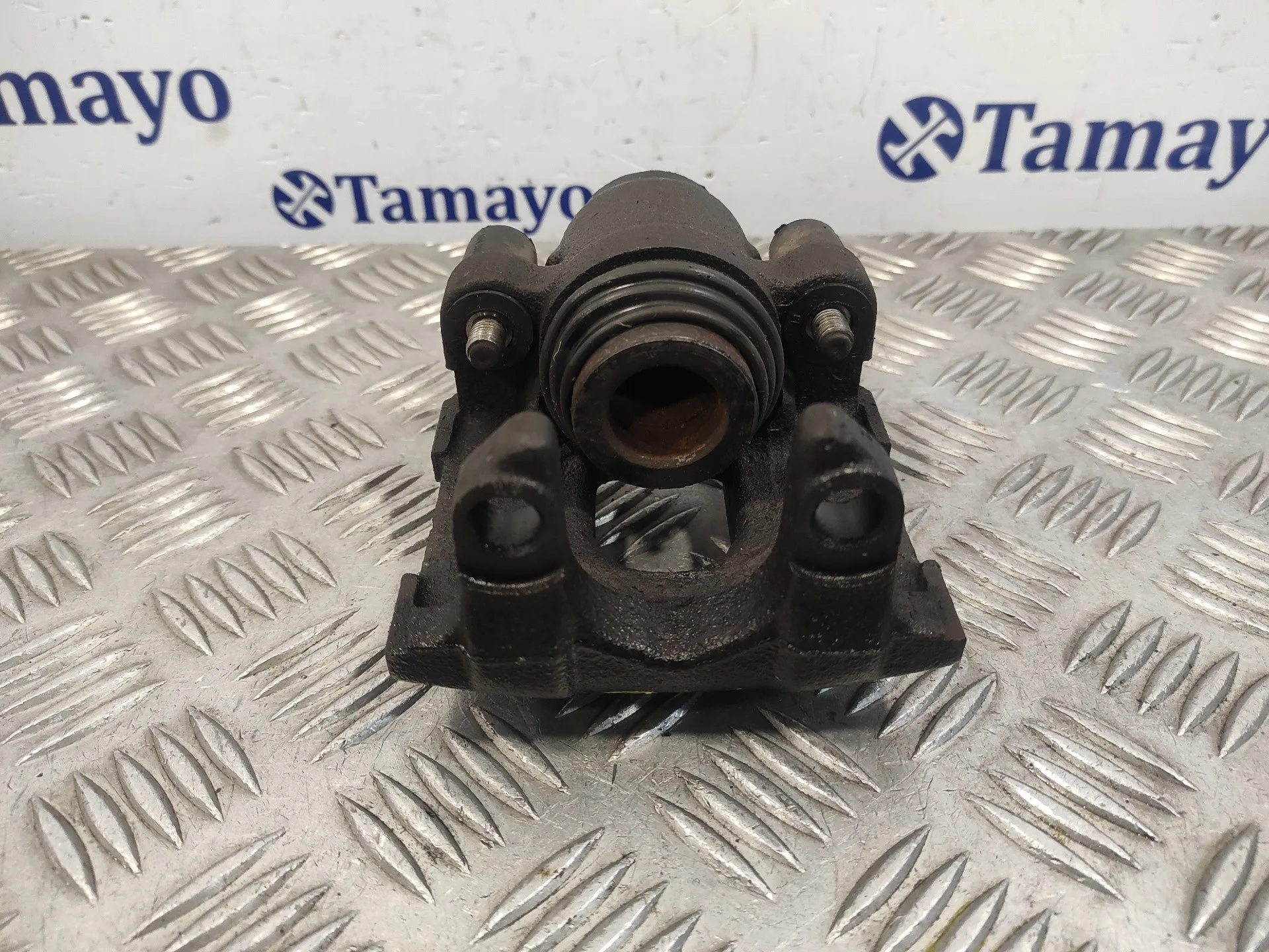 Pinza Freno Trasera Izquierda para Bmw X5 (E53)