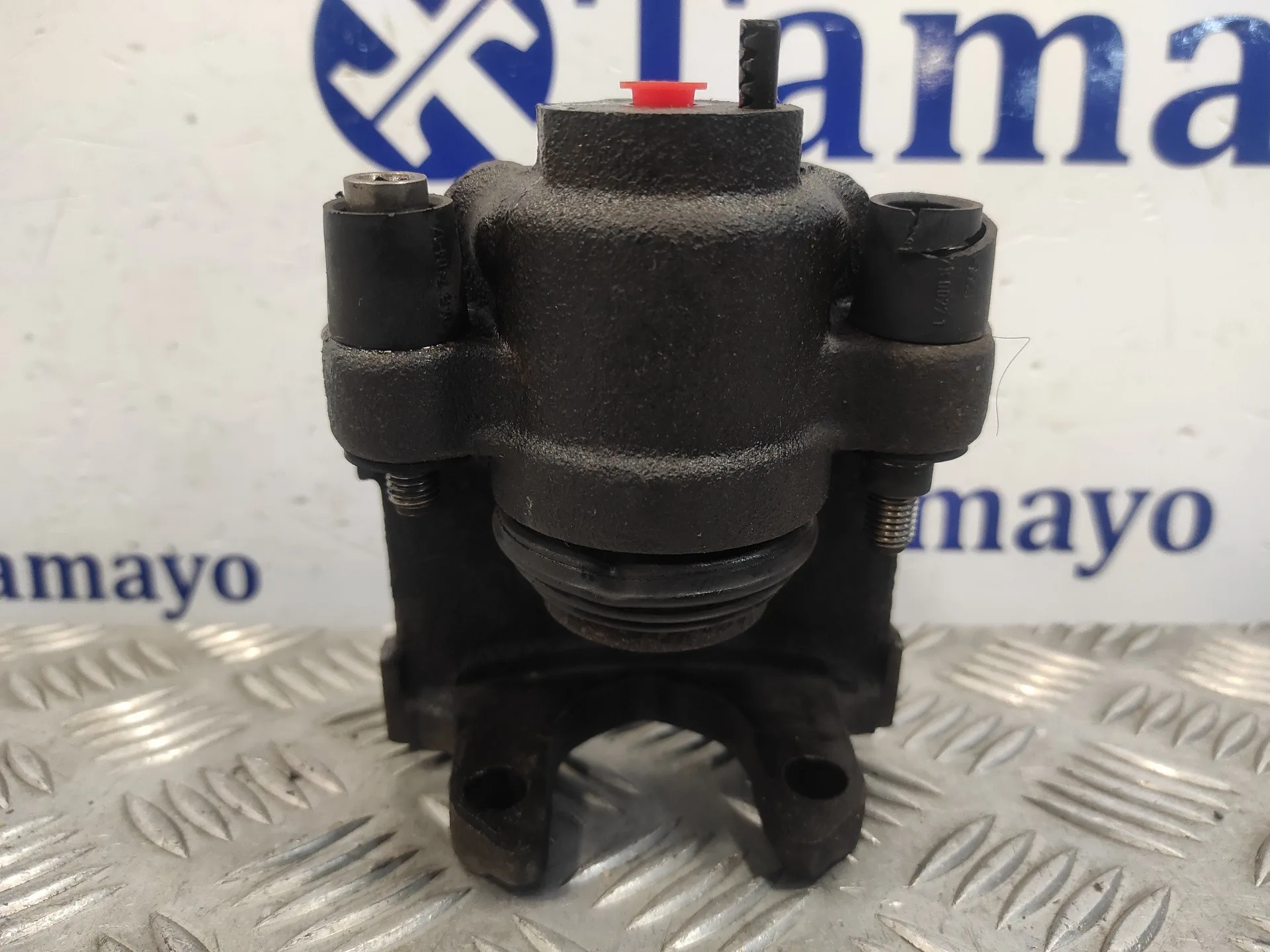 Pinza Freno Trasera Derecha para Bmw X5 (E53)