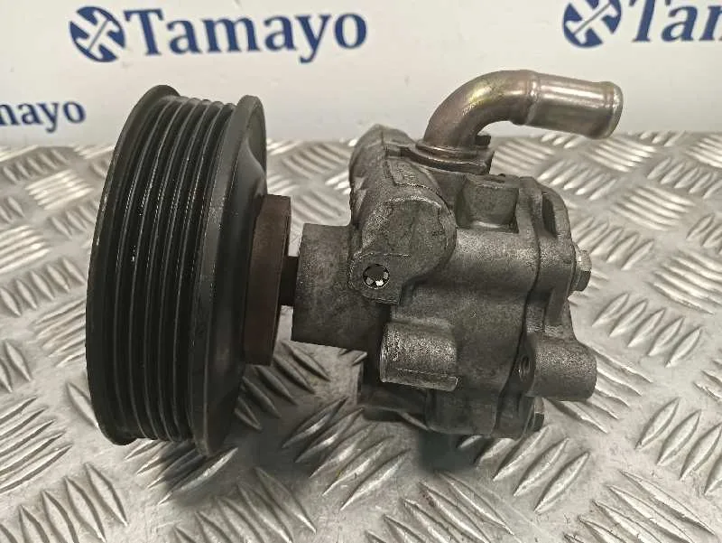 Bomba Direccion para Seat Toledo (1M2)