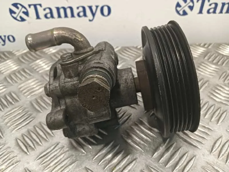 Bomba Direccion para Seat Toledo (1M2)