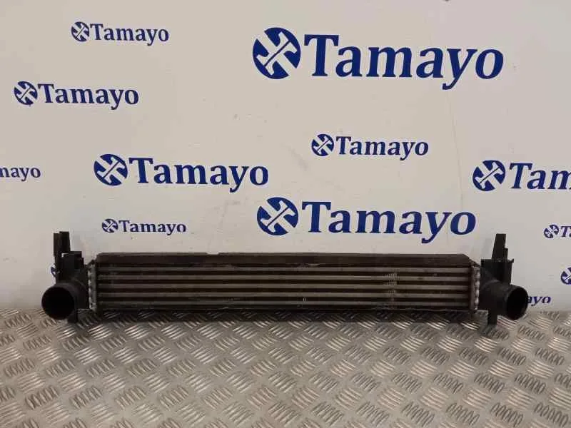 Intercooler para Volkswagen Polo (6R1)
