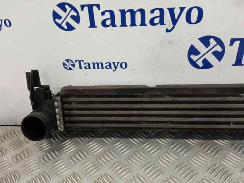 Intercooler para Volkswagen Polo (6R1)