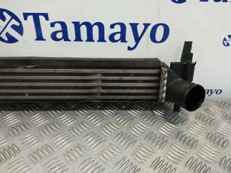 Intercooler para Volkswagen Polo (6R1)