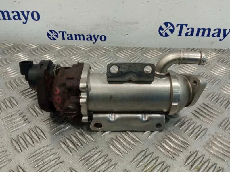 Enfriador Egr para Nissan Primastar (X83)