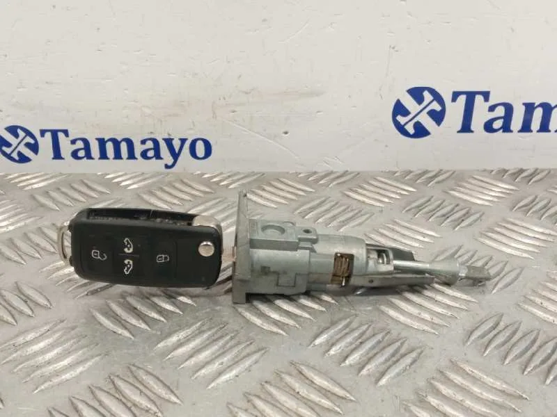 Bombin Puerta Delantera Izquierda para Seat Alhambra (7N)