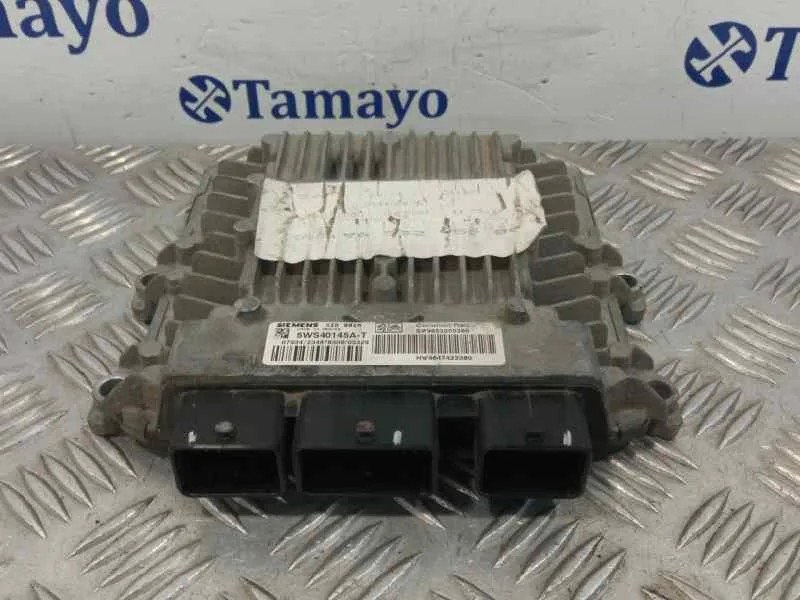 Centralita Motor Uce para Peugeot 307 (S1)